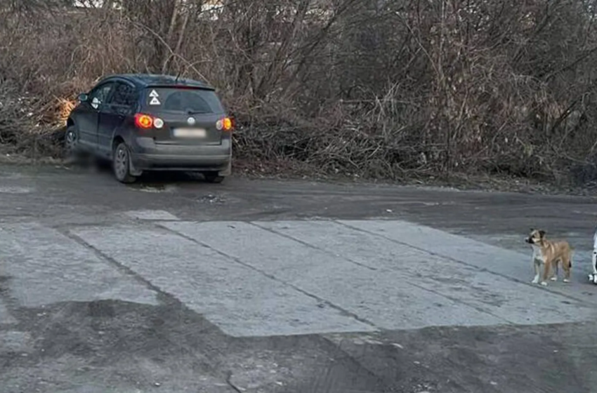  Смертельна ДТП на Черкащині: водійка Volkswagen збила молоду матір із дитиною